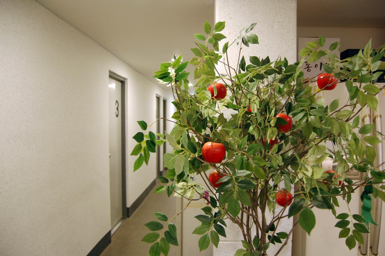 Dongseongro Zero Guesthouse Daegu Zewnętrze zdjęcie